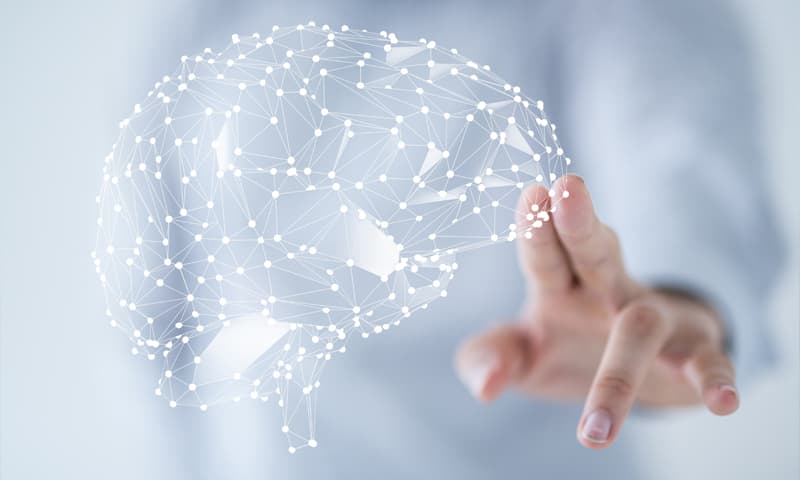 Ofrecemos sesiones online